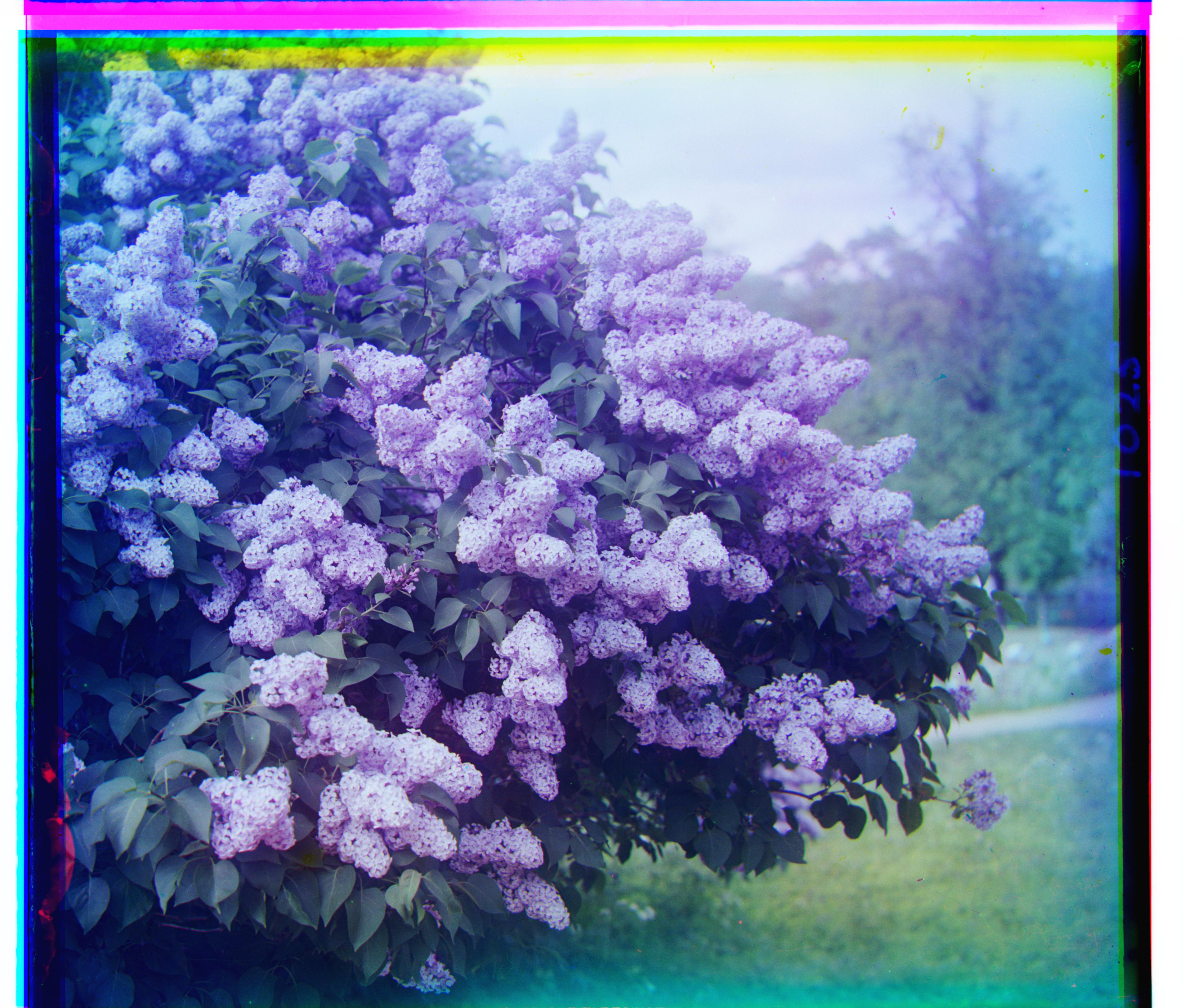 R(-25,96) G(-7,49) 17.23s